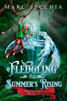 A Fledgling for Summer's Rising (Santaclaws Book 3)