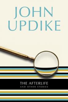 The Afterlife: And Other Stories