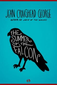 The Summer of the Falcon