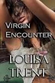 Virgin Encounter (Virgin Series Book 1)