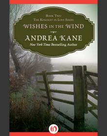 Wishes in the Wind