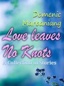 Love Leaves No Knots: A Collection of Stories