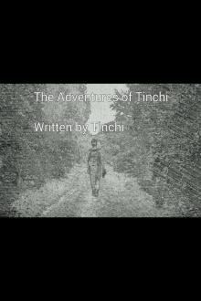 The adventures of Tinchi