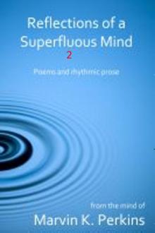 Reflections of a Superfluous Mind 2