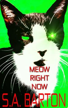 Meow Right Now