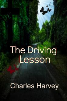 The Driving Lesson