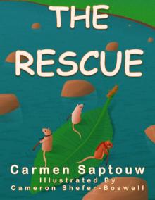 The Rescue