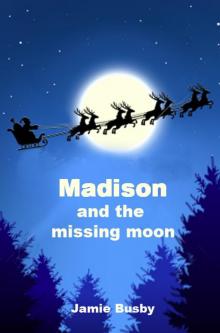 Madison and the Missing Moon