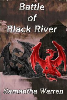 Battle of Black River