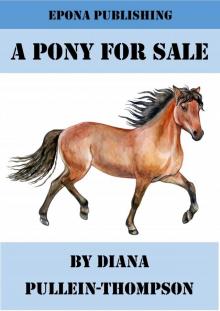 A Pony For Sale