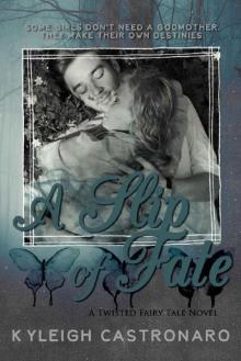 A Slip of Fate: Adult Retelling of Cinderella (Twisted Fairy Tale)