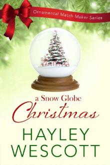 A Snow Globe Christmas