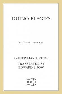 Duino Elegies: A Bilingual Edition