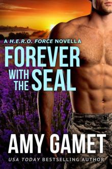 Forever with the SEAL: HERO Force Book Eight