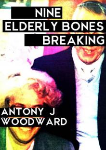 Nine Elderly Bones Breaking (Terry Logan Book 2)