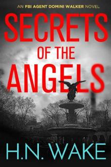 Secrets of the Angels: FBI Agent Domini Walker Book 3 (Dom Walker)