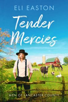 Tender Mercies (Men of Lancaster Counter Book 2)