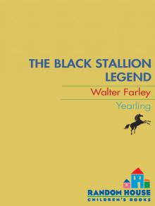 The Black Stallion Legend