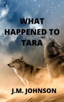 The Incident | Book 2 | What Happened To Tara