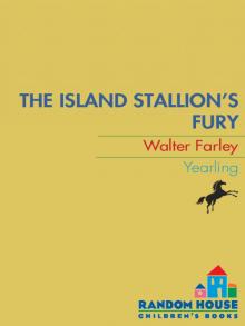 The Island Stallion's Fury