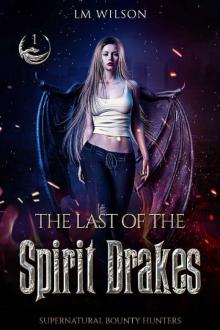 The Last of the Spirit Drakes (Supernatural Bounty Hunters Book 1)