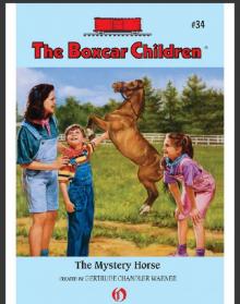 The Mystery Horse