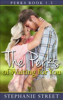 The Perks of Waiting for You: Perks Book 1.5