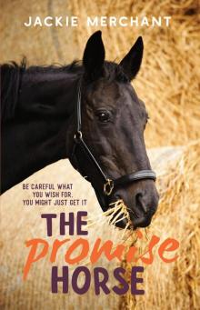 The Promise Horse