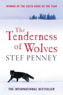 The Tenderness of Wolves