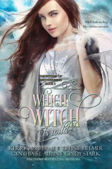 Which Witch is Wild? (The Witches of Port Townsend Book 3)