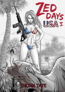 Zed Days USA (Book 1)