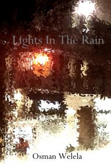 Lights In The Rain