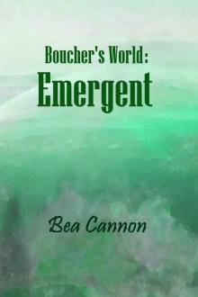 Boucher's World: Emergent