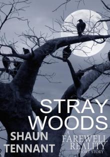 Stray Woods