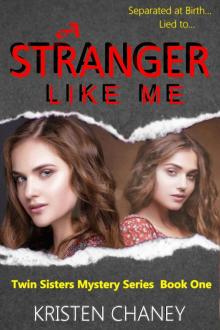 A Stranger Like Me (Twin Sisters Mystery Series Book 1)