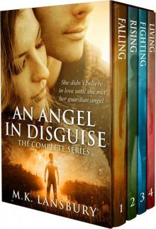 An Angel in Disguise- The Complete Series