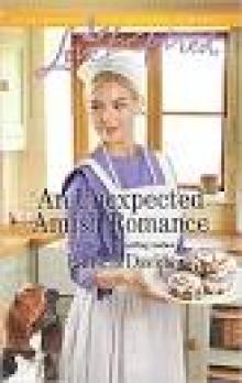 An Unexpected Amish Romance (The Amish Bachelors Book 5)