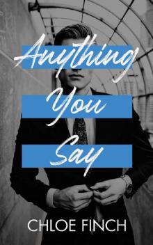 Anything You Say: An Enemies to Lovers Standalone Romance