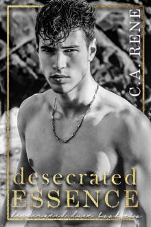 Desecrated Essence (Desecrated Duet Book 2)