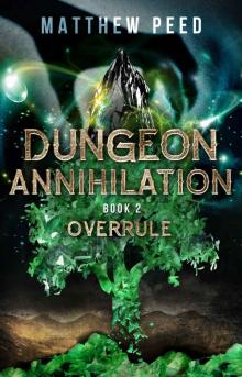 Dungeon Annihilation: Book 2: Overrule