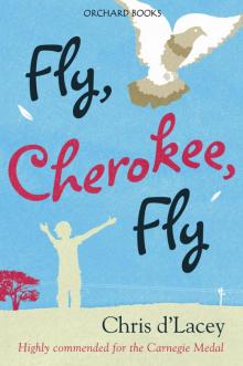 Fly, Cherokee, Fly