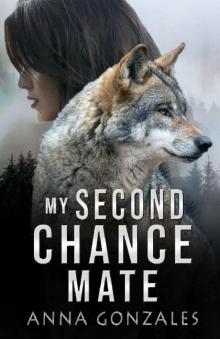 My Second Chance Mate: A Shifter Romance