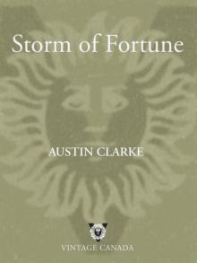 Storm of Fortune