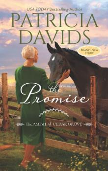 The Promise