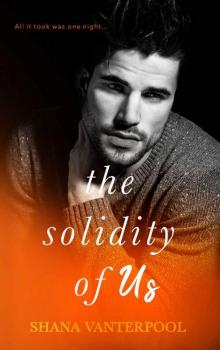 The Solidity of Us: A Novel