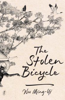 The Stolen Bicycle