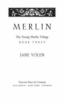 The Young Merlin Trilogy