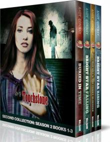Touchstone Season Two Box Set