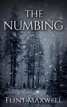 Whiteout (Book 3): The Numbing