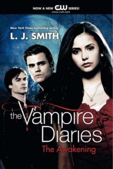 Stefans Diaries: The Ripper